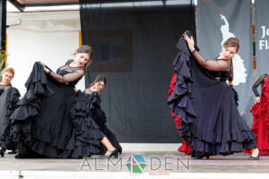 III-Jornadas-Flamenca-Saceruela-183