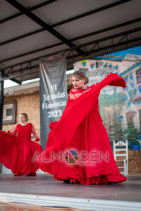 VI-Jornadas-Flamencas-Saceruela-150