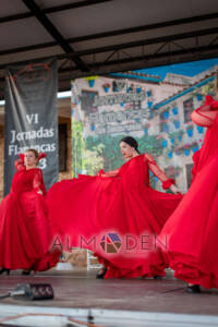 VI-Jornadas-Flamencas-Saceruela-162