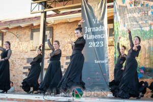 VI-Jornadas-Flamencas-Saceruela-60