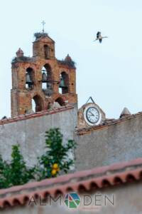 Iglesia Parroquial de San Juan Bautista y Santo Domingo de Silos