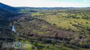 Campos entorno a Almadén