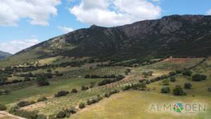 Guadalmez sierra y campos