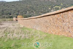 Muralla de Almadenejos