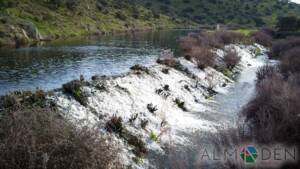 Naturaleza en Alamillo