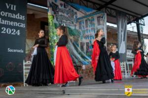 VII Jornadas Flamencas Saceruela 2024