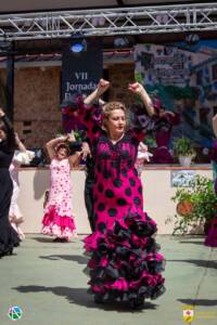 VII Jornadas Flamencas Saceruela 2024