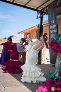 VII Jornadas Flamencas Saceruela 2024