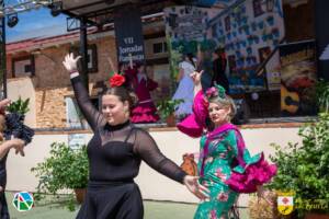 VII Jornadas Flamencas Saceruela 2024