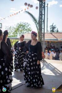 VII Jornadas Flamencas Saceruela 2024