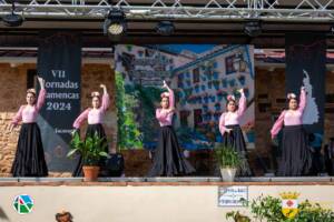 VII Jornadas Flamencas Saceruela 2024