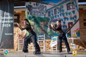 VII Jornadas Flamencas Saceruela 2024