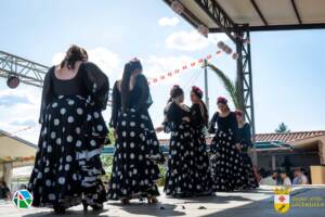 VII Jornadas Flamencas Saceruela 2024