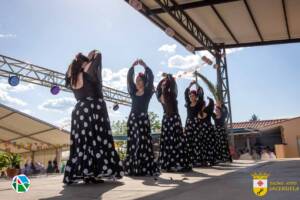 VII Jornadas Flamencas Saceruela 2024