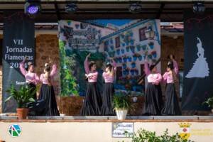 VII Jornadas Flamencas Saceruela 2024