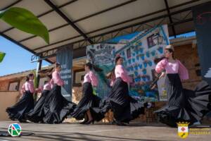 VII Jornadas Flamencas Saceruela 2024