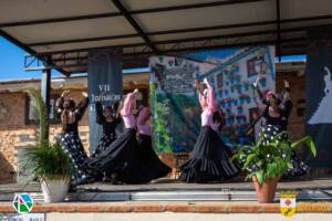 VII Jornadas Flamencas Saceruela 2024