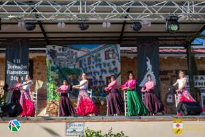 VII Jornadas Flamencas Saceruela 2024