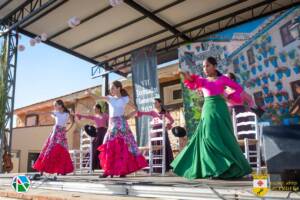 VII Jornadas Flamencas Saceruela 2024