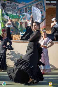 VII Jornadas Flamencas Saceruela 2024