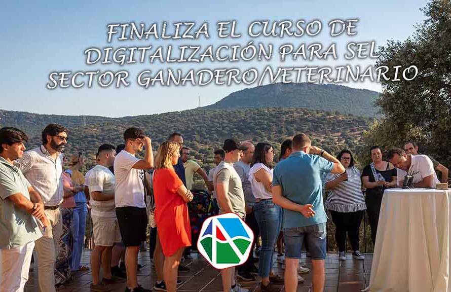 finaliza el curso de digitalización copia