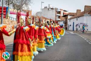 Carnaval de Almadén-23