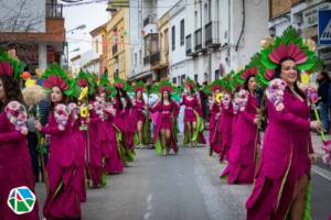 Carnaval de Almadén-33