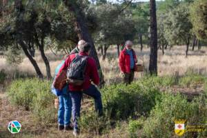 Jornadas Micológicas Saceruela 2024-16