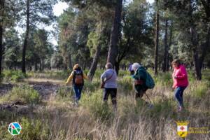 Jornadas Micológicas Saceruela 2024-18